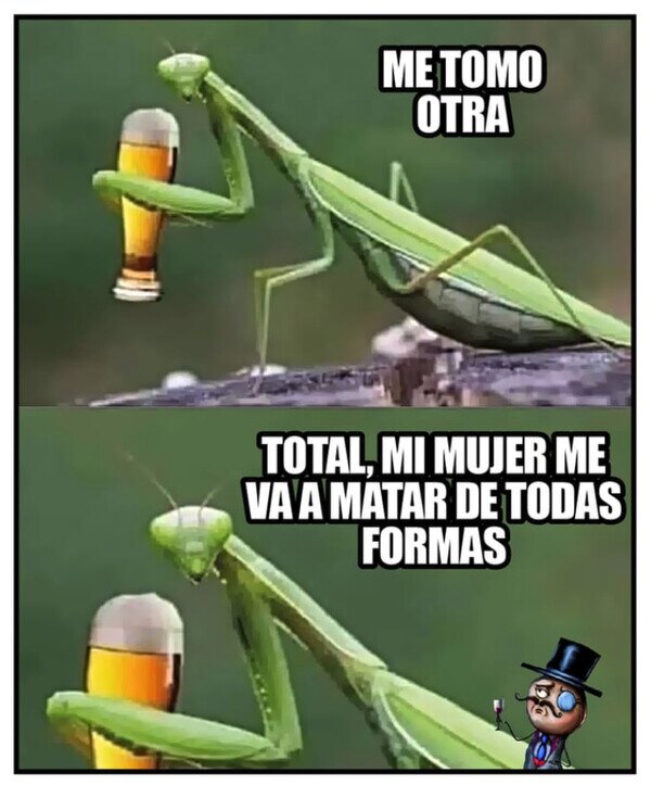 Meme_otros - Las mantis saben lo que hay