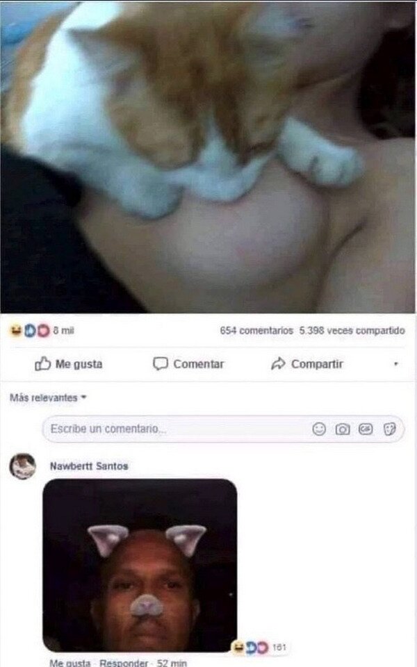 Meme_otros - Yo también soy un gato