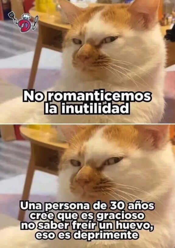 Meme_otros - No romanticemos la inutilidad
