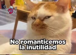 Enlace a No romanticemos la inutilidad