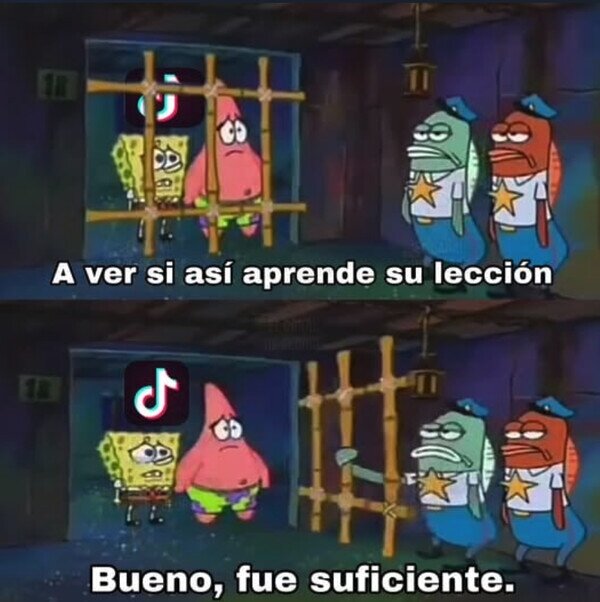 Otros - El baneo a TikTok duró poco