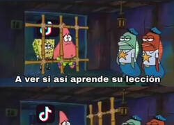 Enlace a El baneo a TikTok duró poco