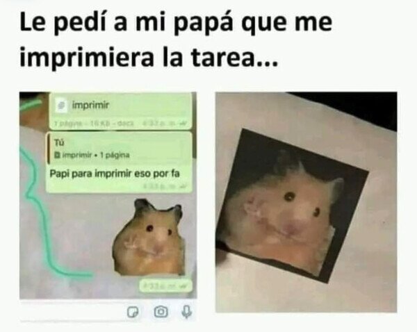 Otros - No lo entendió bien
