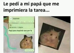 Enlace a No lo entendió bien
