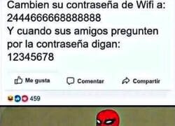 Enlace a Tardé unos segundos en pillarlo