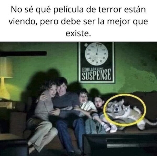 Meme_otros - Asusta hasta a las mascotas