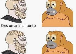 Enlace a ¿Quién es el tonto?