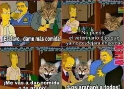 Enlace a Hambriento y agresivo