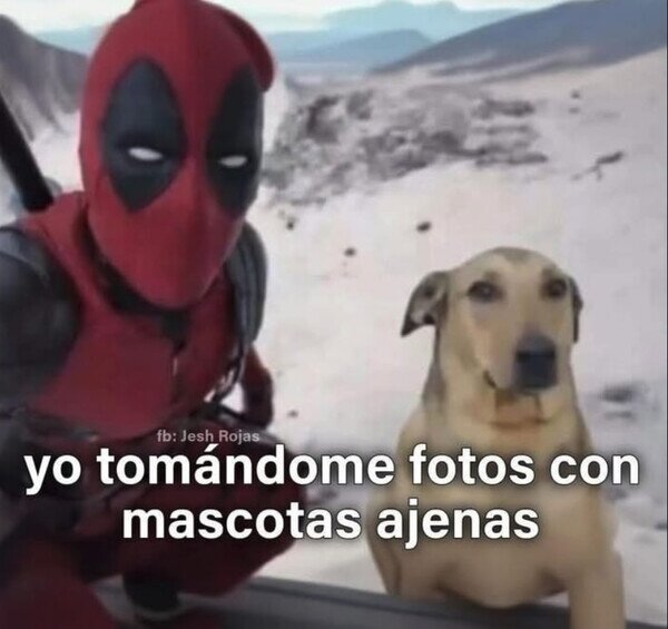 Meme_otros - Con cualquiera que me cruce