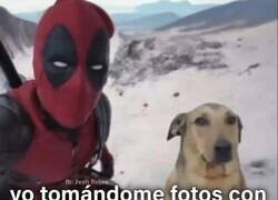 Enlace a Con cualquiera que me cruce