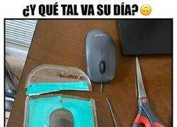 Enlace a Podría ser peor