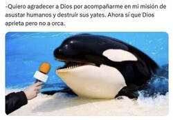 Enlace a Como dice el refrán