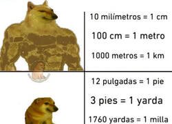 Enlace a Esas extrañas unidades de medida