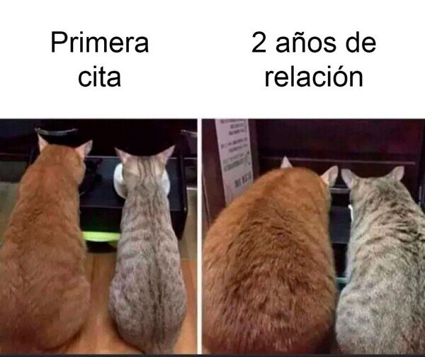 Otros - Real como la vida misma