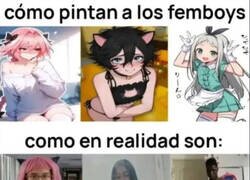 Enlace a Sí, soy un femboy, ¿cómo supiste?