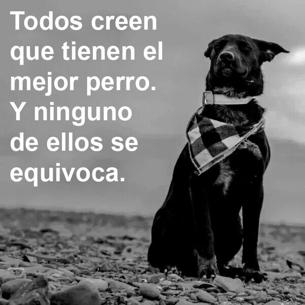 Meme_otros - Todos tienen razón