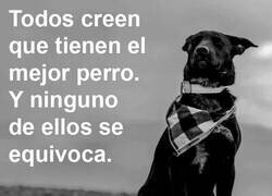Enlace a Todos tienen razón