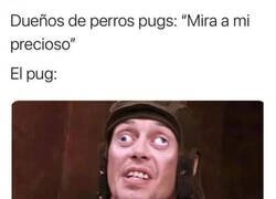 Enlace a Ahí está su encanto