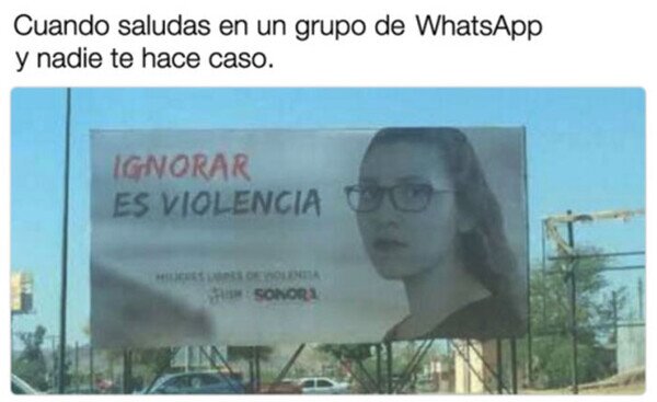 Meme_otros - He sido brutalmente ignorado