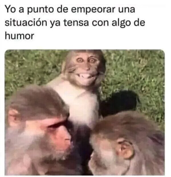 Meme_otros - Lo que puedo aportar es un poco de humor
