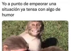 Enlace a Lo que puedo aportar es un poco de humor