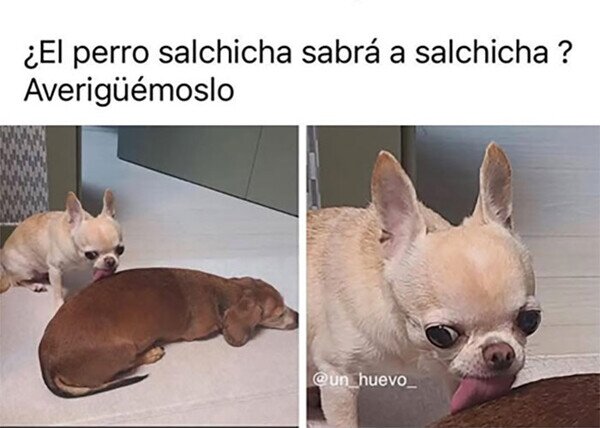 Meme_otros - No se pudo resistir