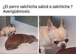 Enlace a No se pudo resistir