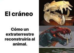 Enlace a Por su cráneo parecería un animal más espectacular