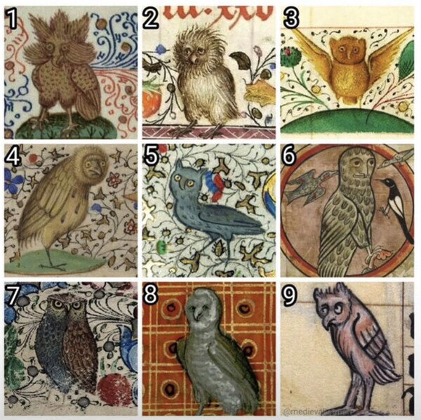 Otros - En la escala de búhos medievales, ¿cómo te sientes hoy?