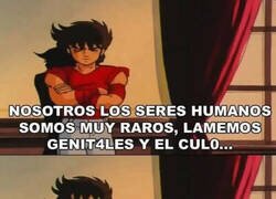 Enlace a Los humanos somos raros
