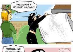 Enlace a Accidente