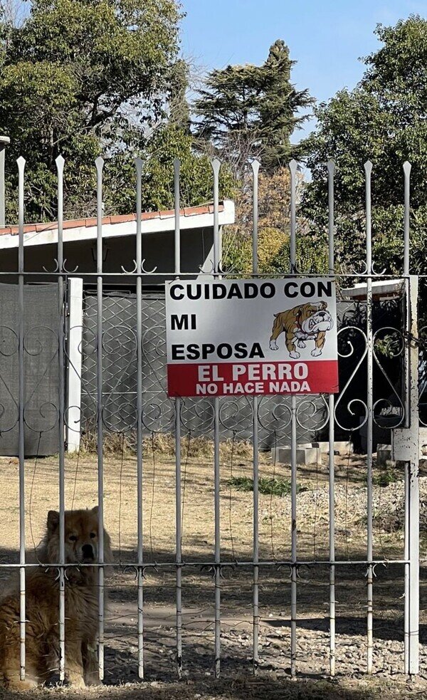 Otros - El perro no es peligroso