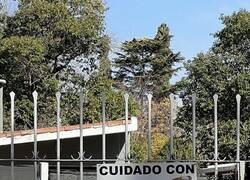 Enlace a El perro no es peligroso