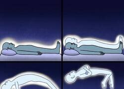 Enlace a Yo todas las noches