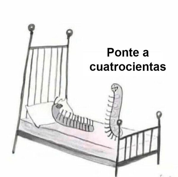 Meme_otros - Noche de pasión para un ciempiés