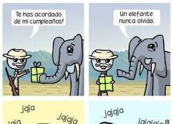 Enlace a Un elefante nunca olvida