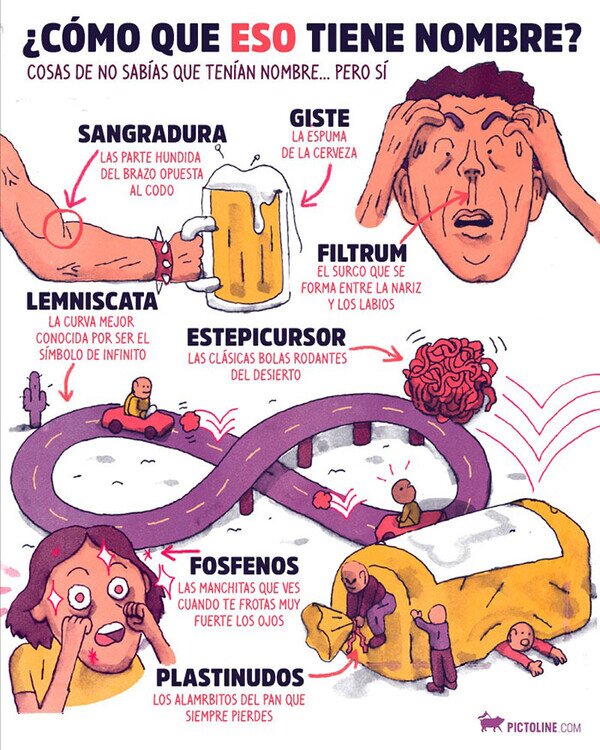 Meme_otros - Cosas que no sabías que tenían nombre