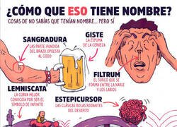 Enlace a Cosas que no sabías que tenían nombre