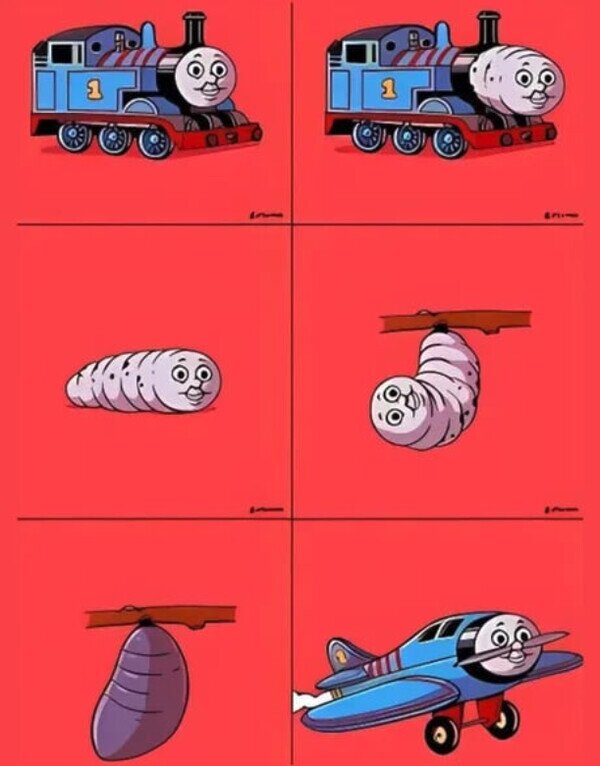 Meme_otros - La evolución de Thomas