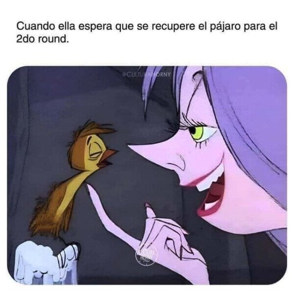 Meme_otros - Tengo el pajarito cansado