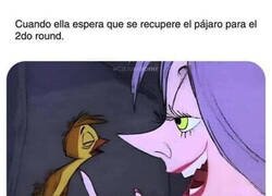 Enlace a Tengo el pajarito cansado