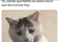 Enlace a Ni siquiera lo uso