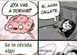 Enlace a Somnífero natural