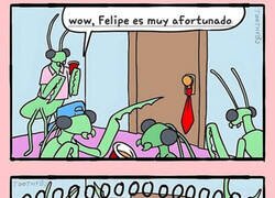 Enlace a Felipe ha triunfado