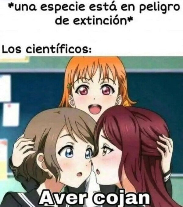 Meme_otros - La ciencia forzando las cosas
