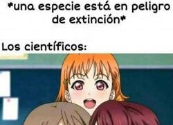 Enlace a La ciencia forzando las cosas