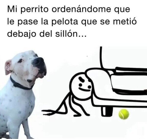 Meme_otros - ¿Quién es el amo aquí?