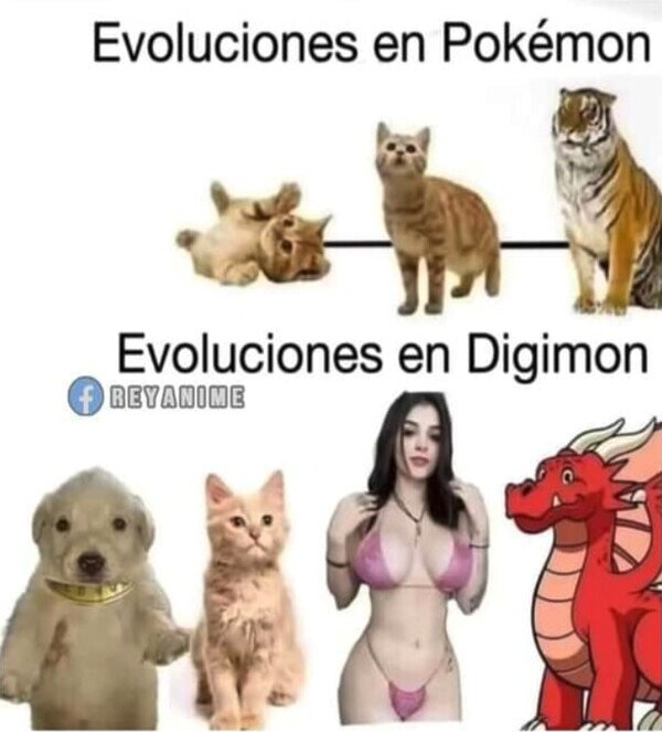 Meme_otros - Sin sentido alguno