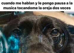 Enlace a Aprendiendo a usar los airpods