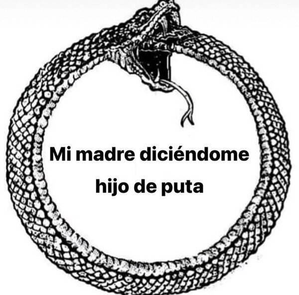 madre,hijo,insultar